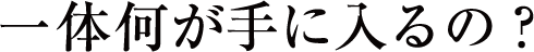 一体何が手に入るの？